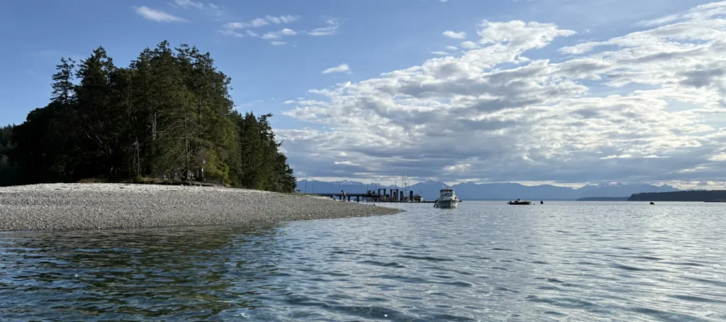 Team coaching and facilitation